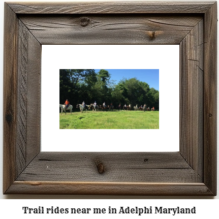 trail rides near me in Adelphi, Maryland